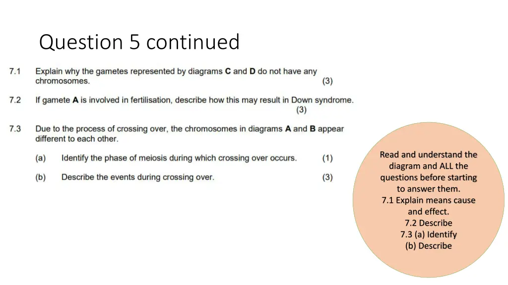 question 5 continued