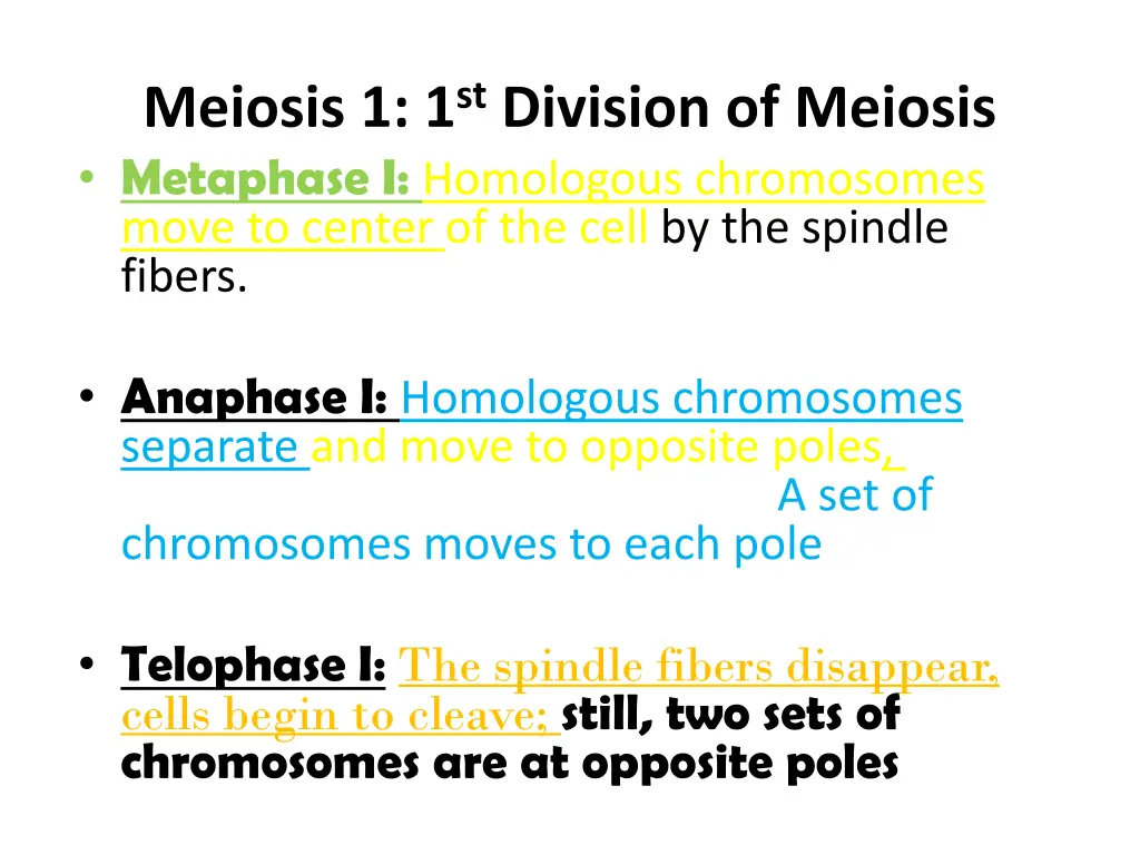 meiosis 1 1 st division of meiosis metaphase