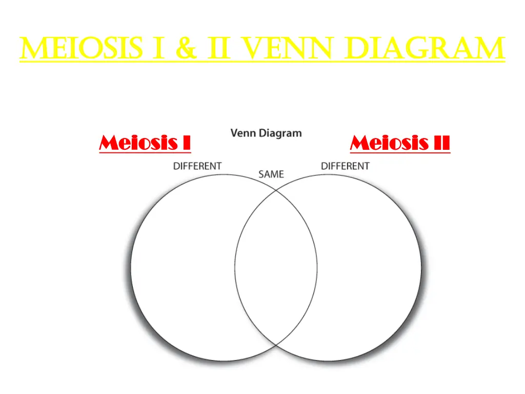 meiosis i ii venn diagram meiosis i ii venn