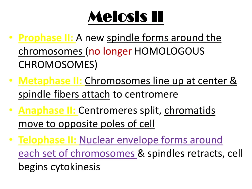 meiosis ii meiosis ii