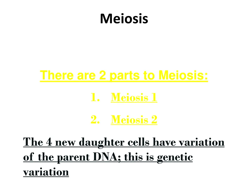 meiosis