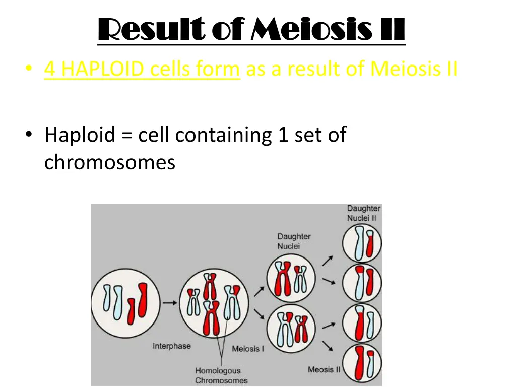 result of meiosis ii result of meiosis