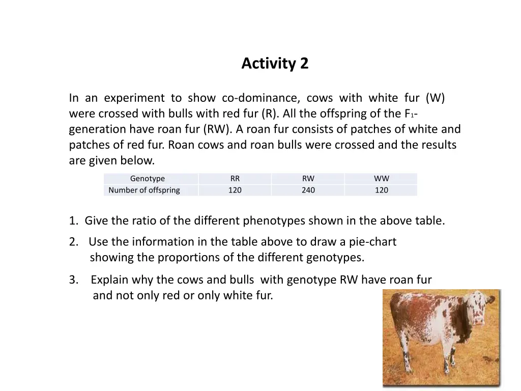 activity 2