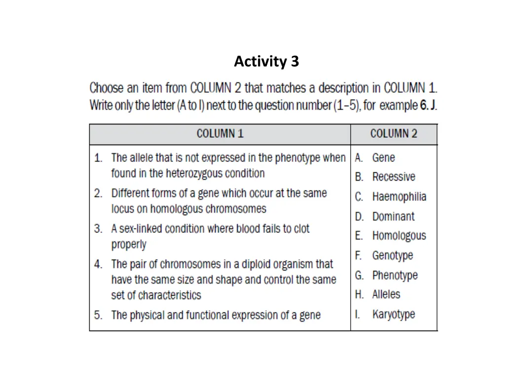 activity 3