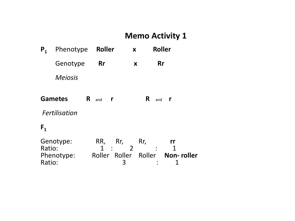 memo activity 1
