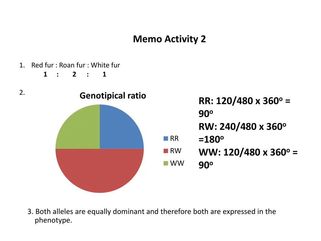 memo activity 2