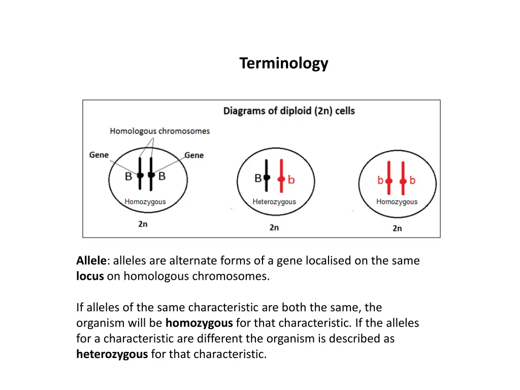 terminology 2