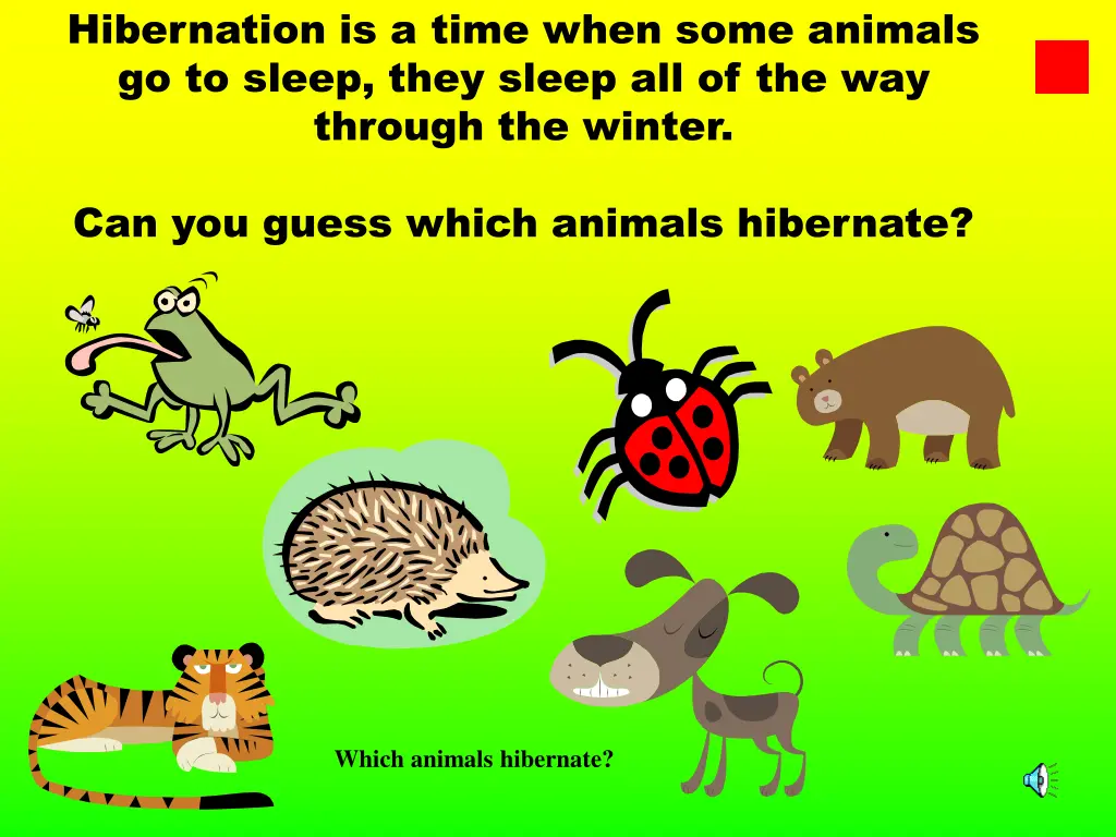 hibernation is a time when some animals