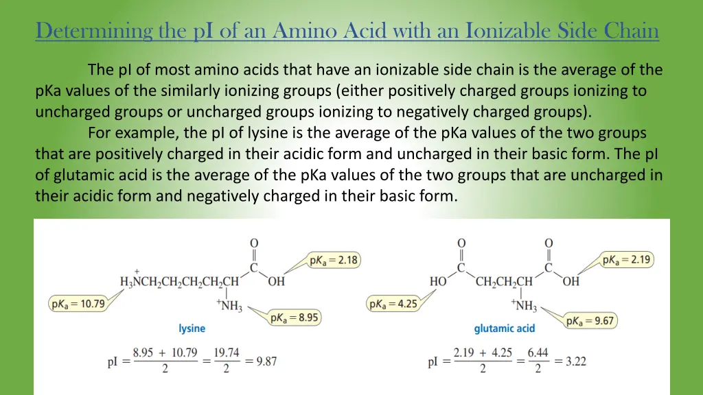 determining the pi of an amino acid with
