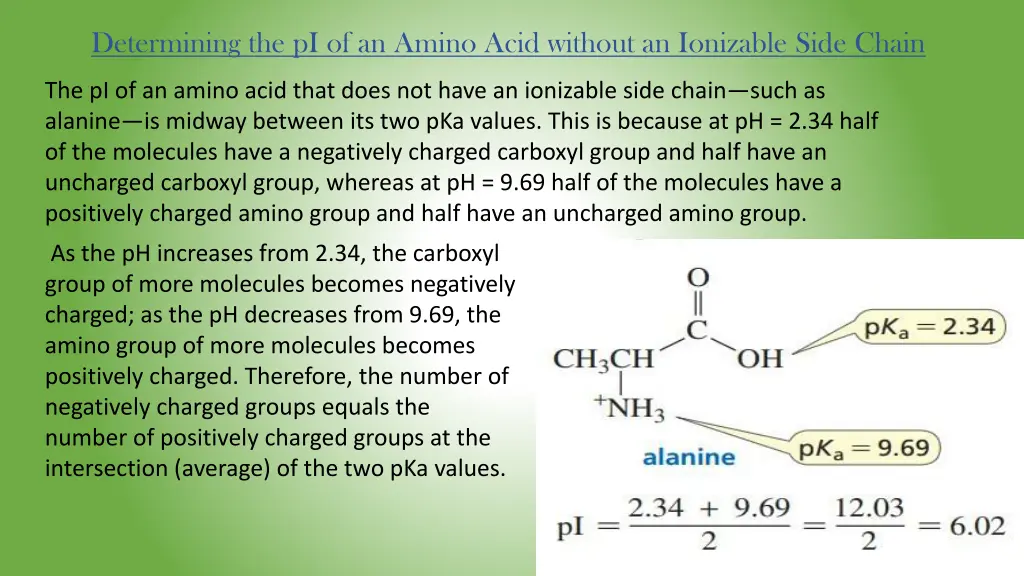 determining the pi of an amino acid without