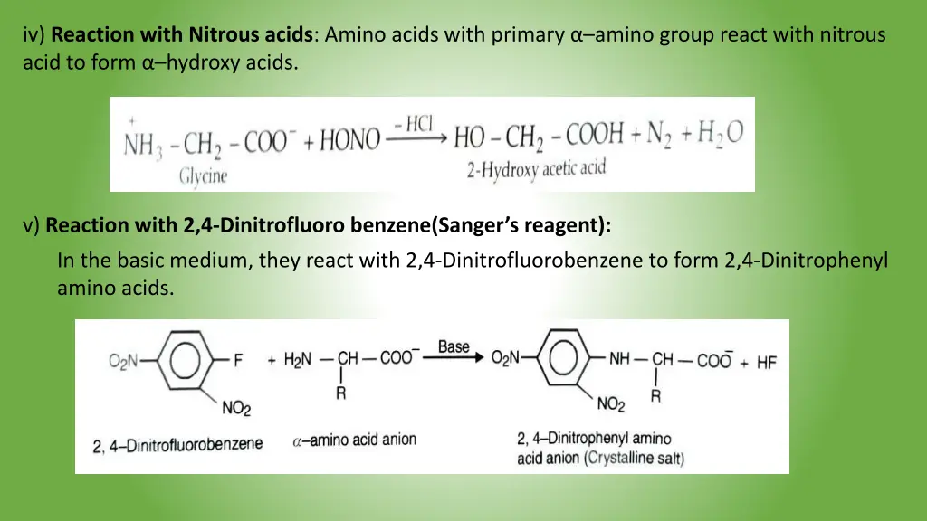 iv reaction with nitrous acids amino acids with