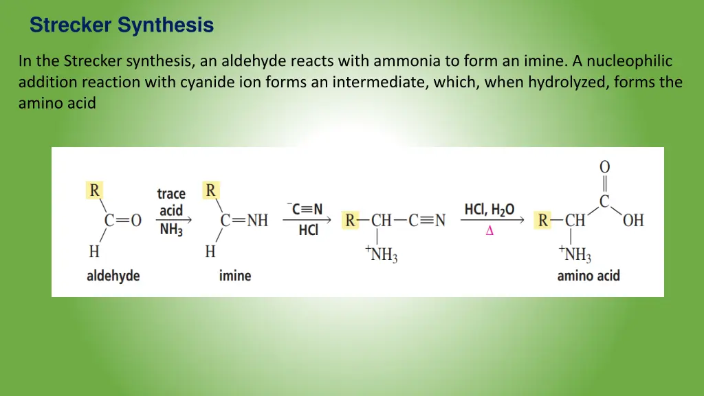 strecker synthesis