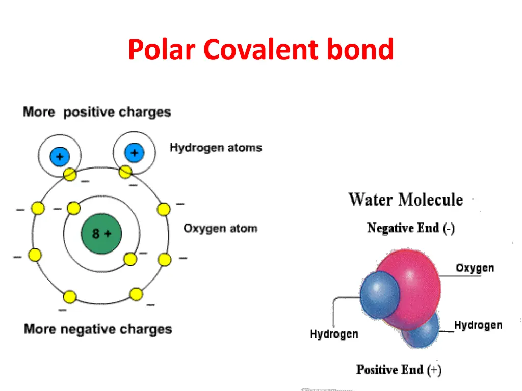 polar covalent bond 1