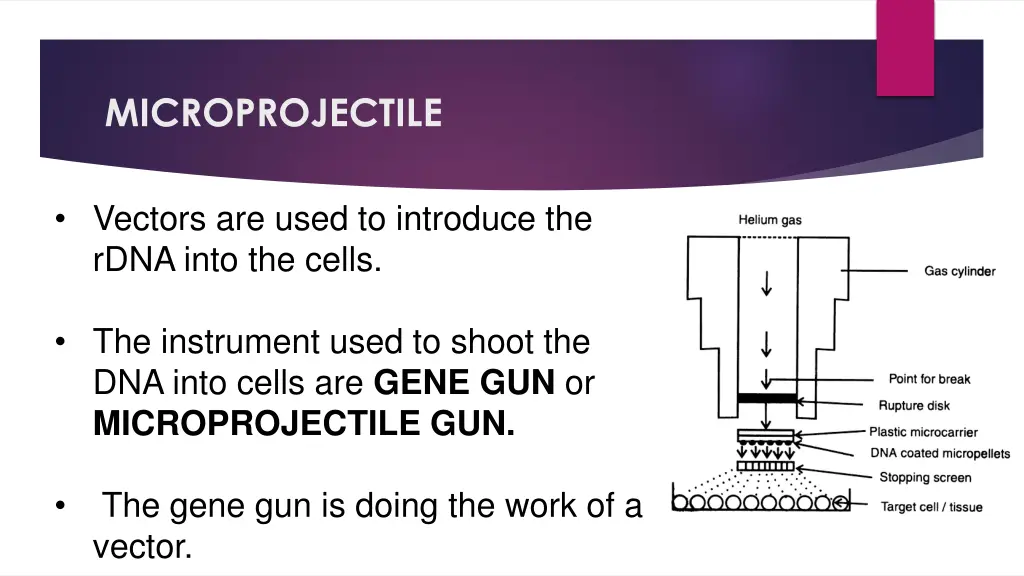 microprojectile