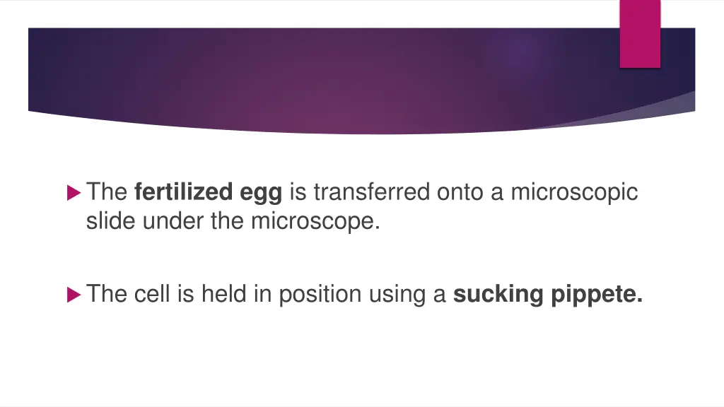 the fertilized egg is transferred onto