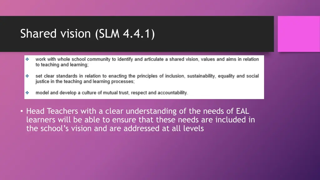 shared vision slm 4 4 1