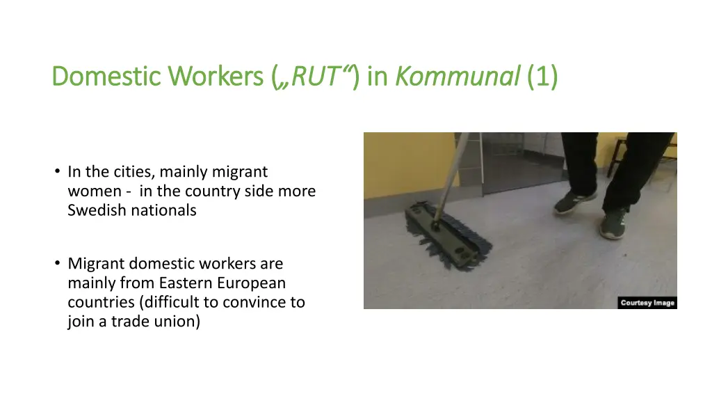 domestic domestic workers