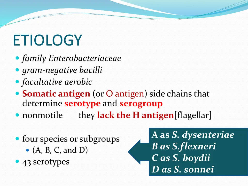 etiology family enterobacteriaceae gram negative
