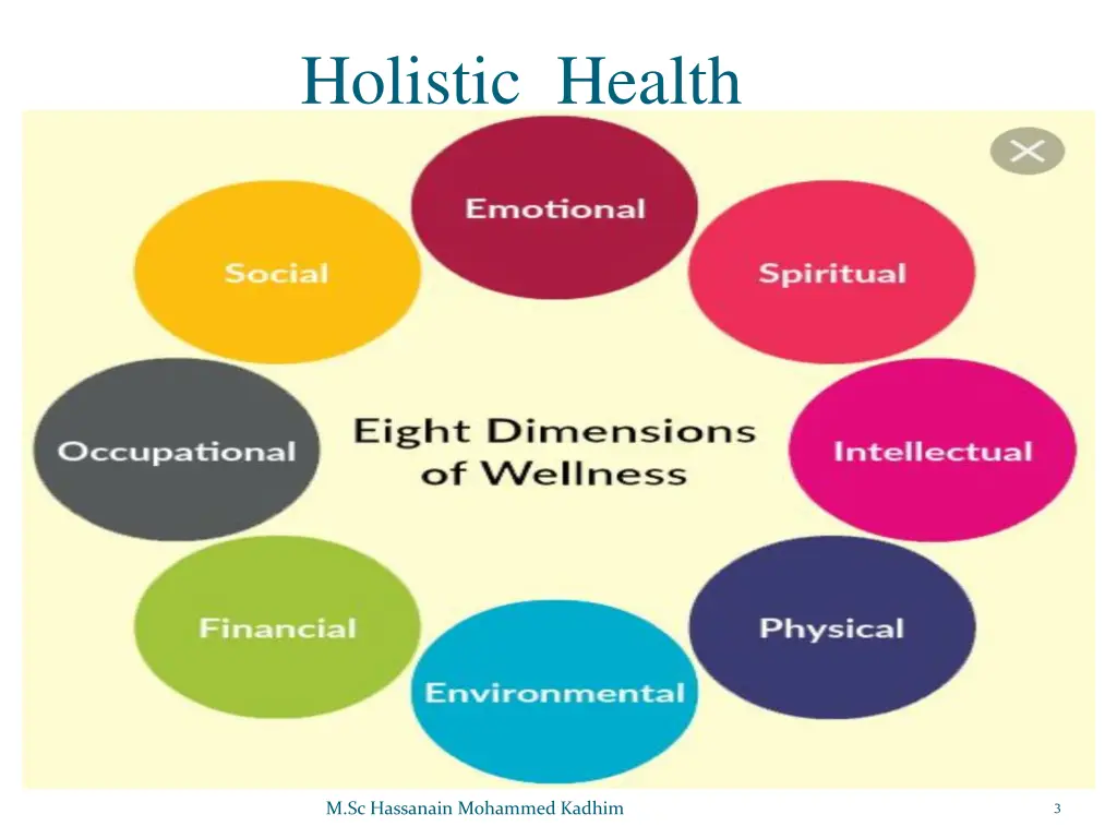 holistic health
