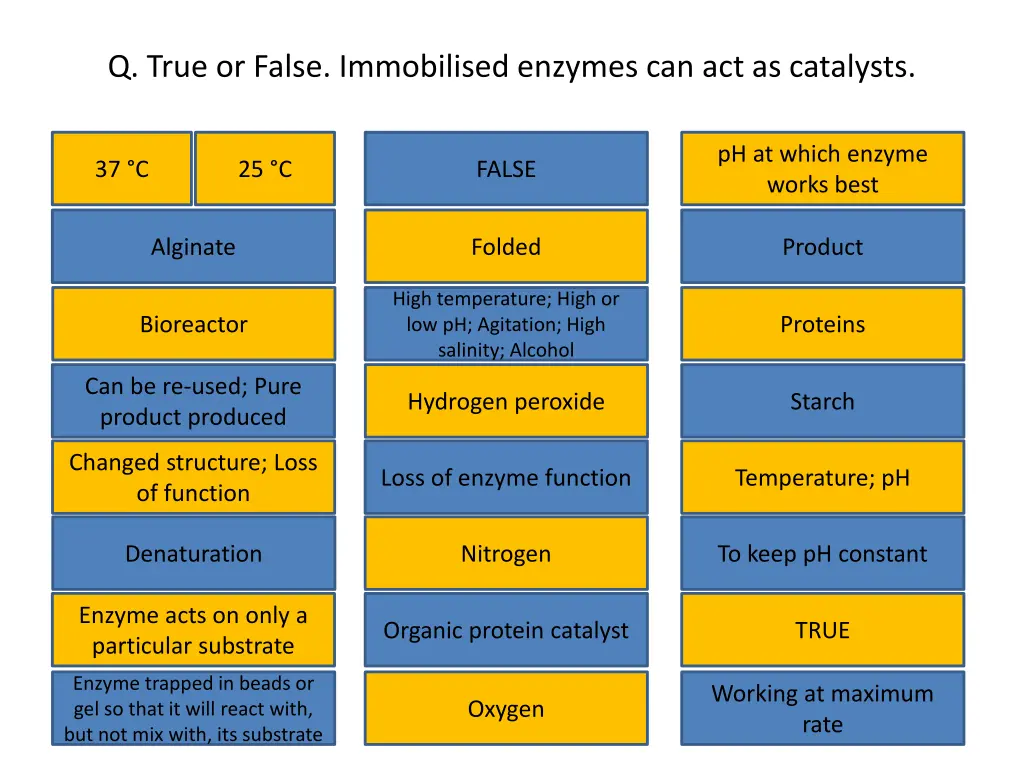 q true or false immobilised enzymes