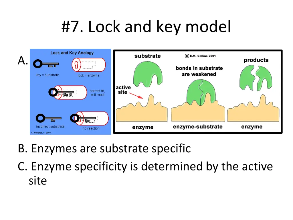 7 lock and key model