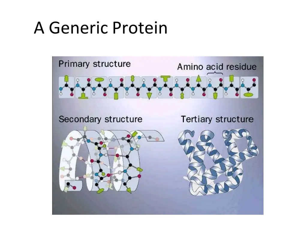 a generic protein