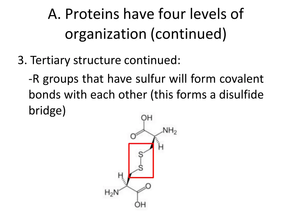 a proteins have four levels of organization 2