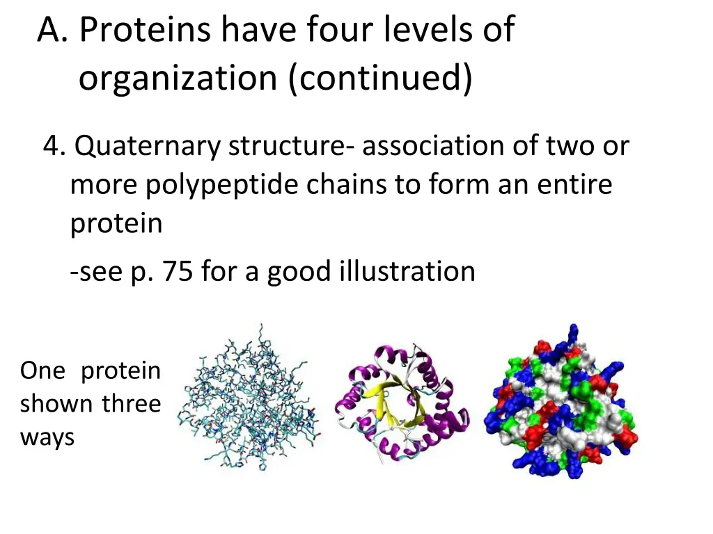 a proteins have four levels of organization 3