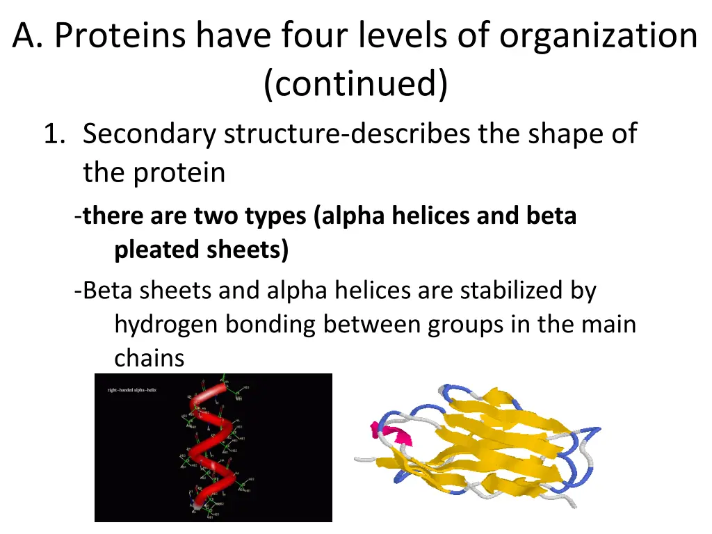 a proteins have four levels of organization
