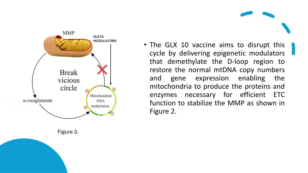 glx10 glx10 modulators modulators