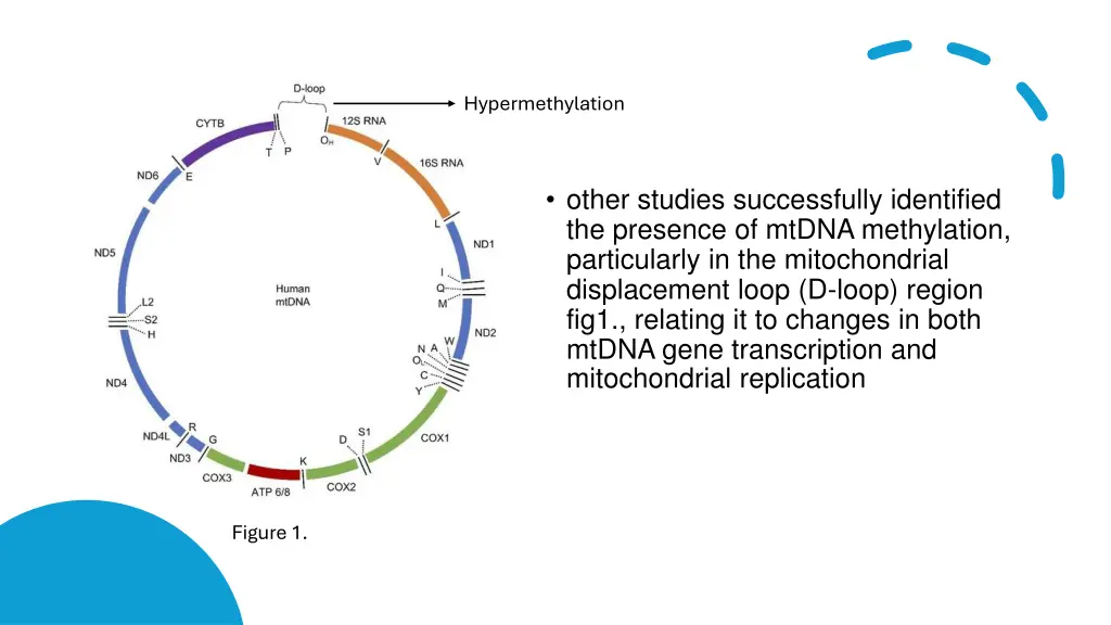 hypermethylation