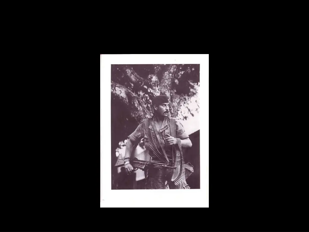 slide24