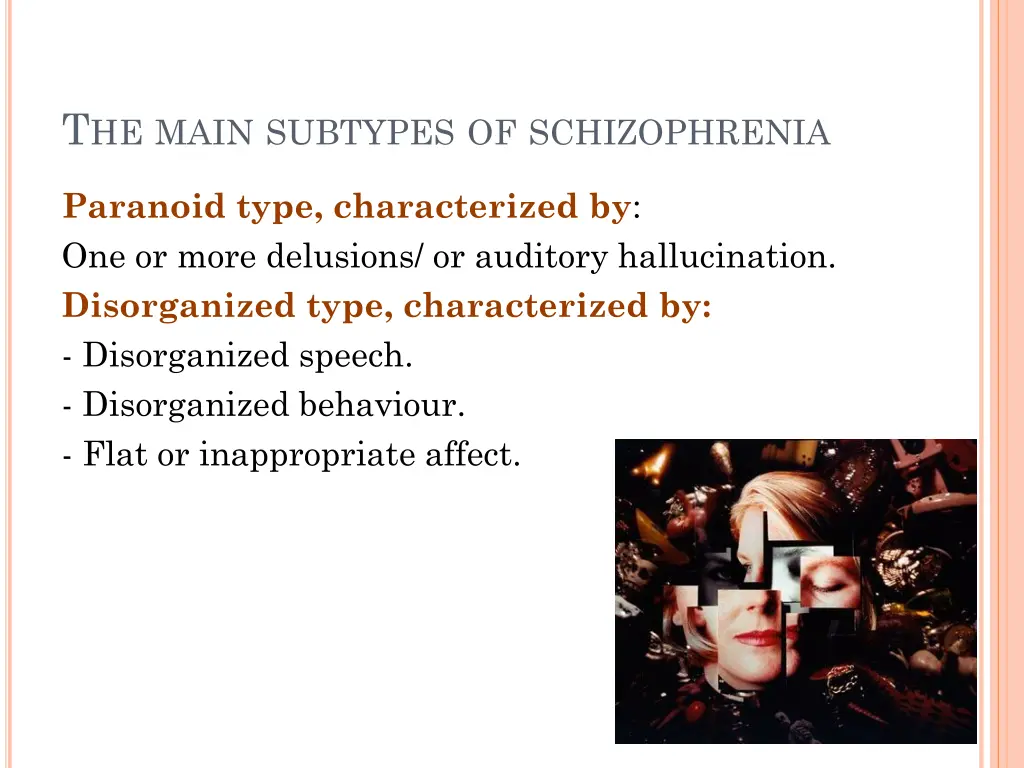 t he main subtypes of schizophrenia
