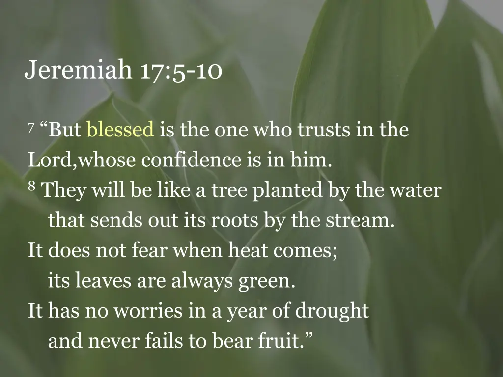 jeremiah 17 5 10 1