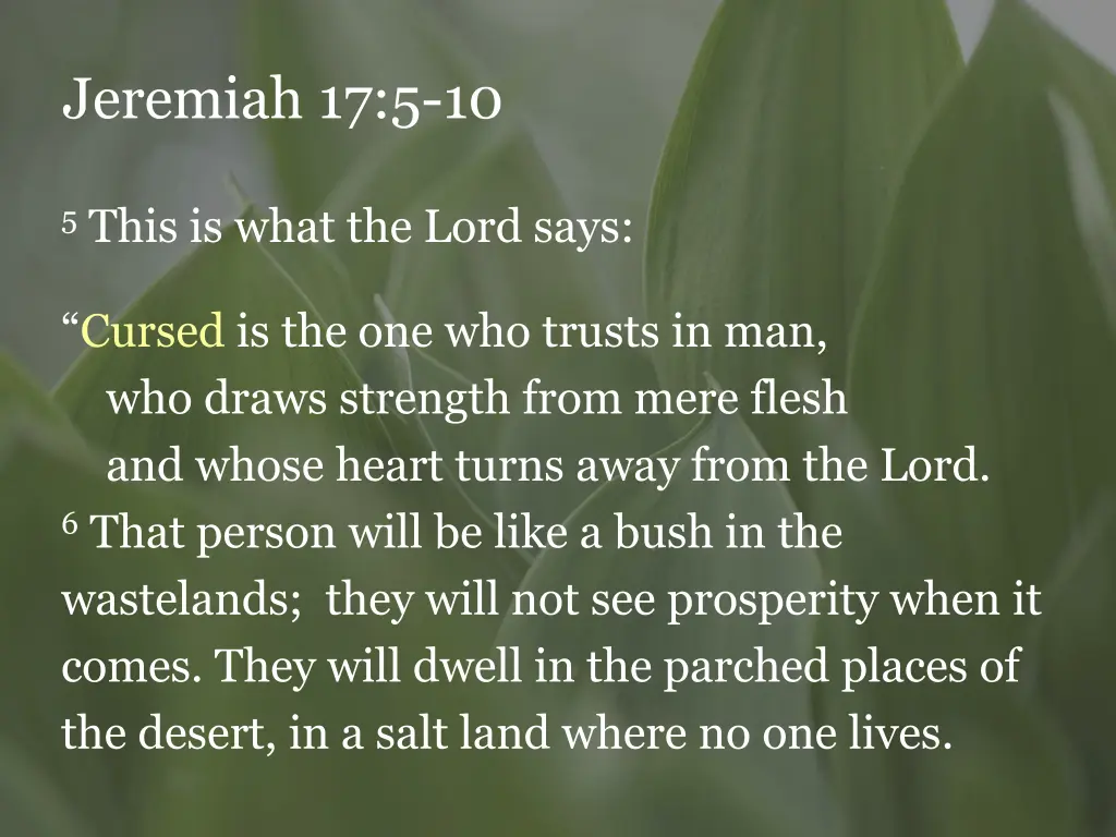 jeremiah 17 5 10