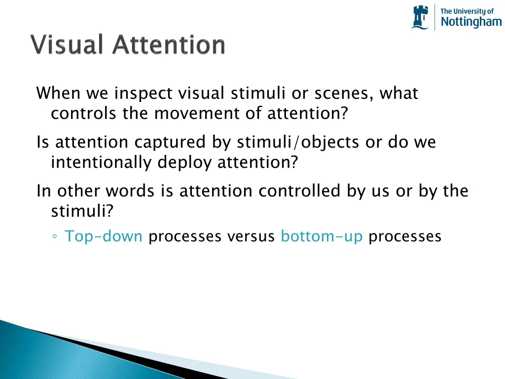 when we inspect visual stimuli or scenes what