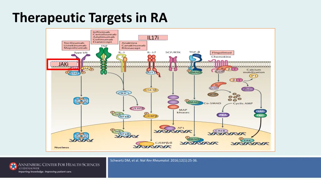 therapeutic targets in ra
