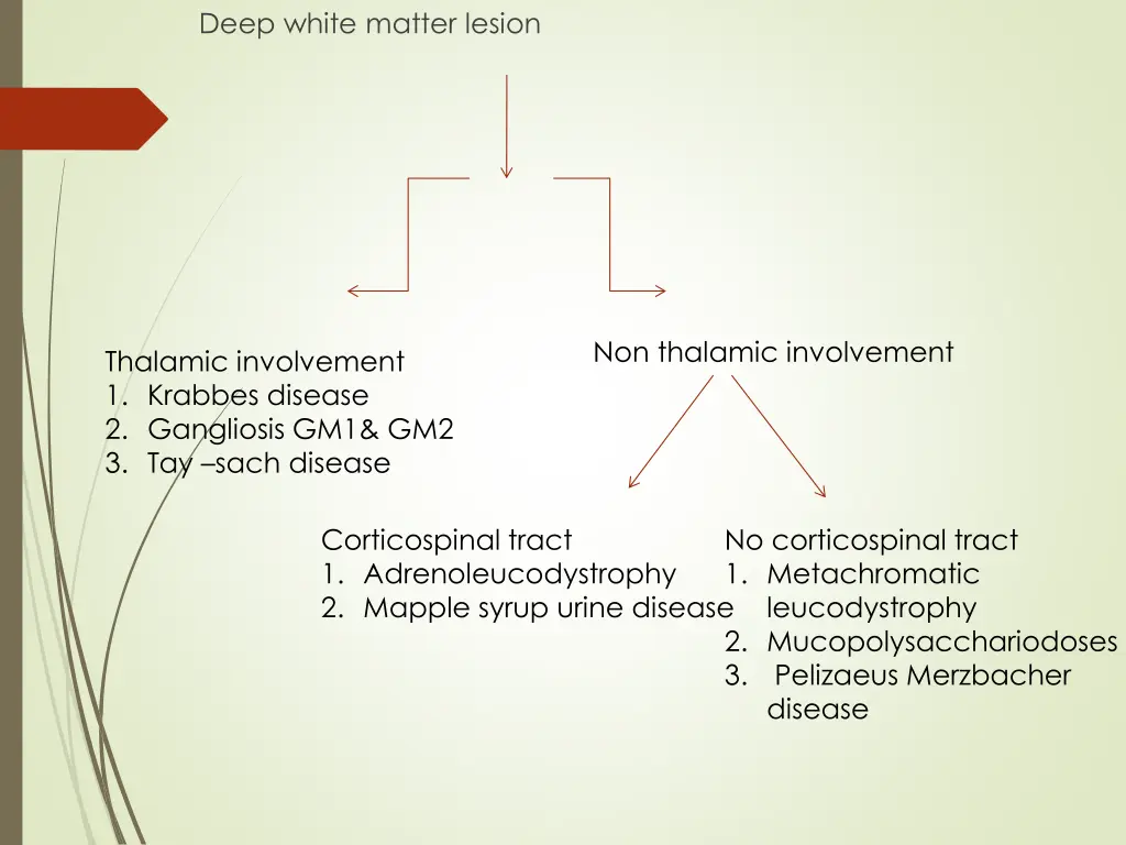 deep white matter lesion