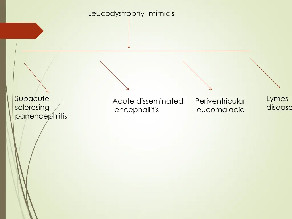 leucodystrophy mimic s