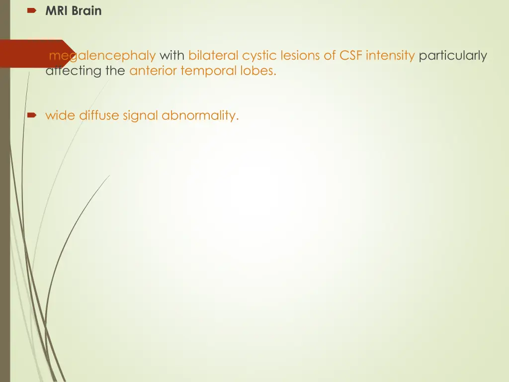 mri brain