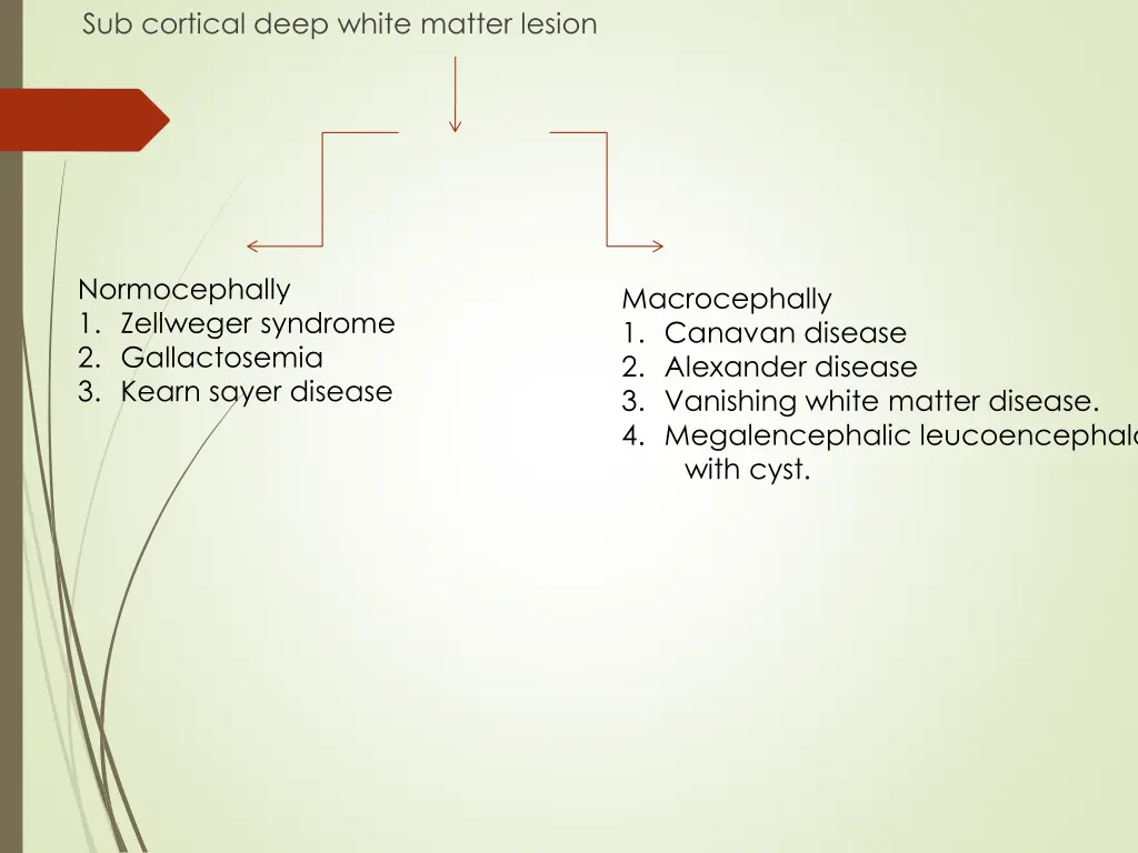 sub cortical deep white matter lesion