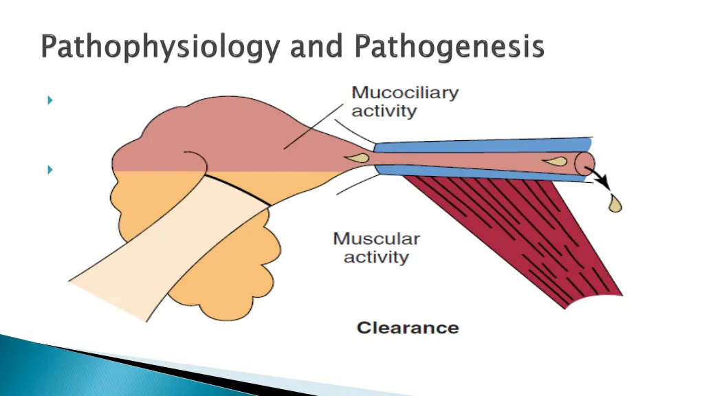eustachian tube function the eustachian tube