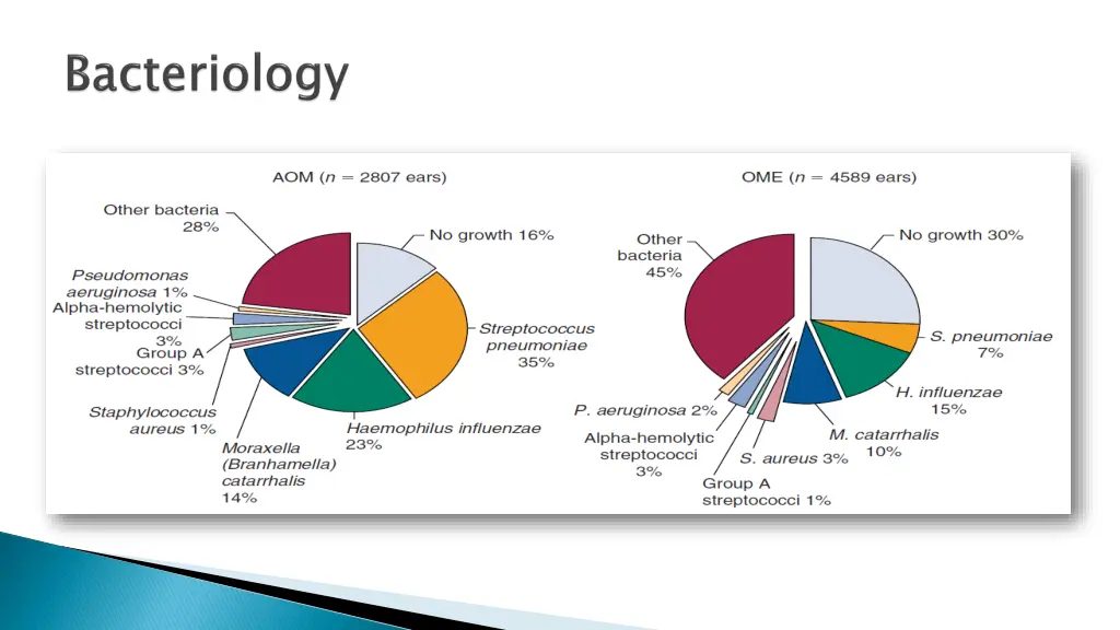slide19