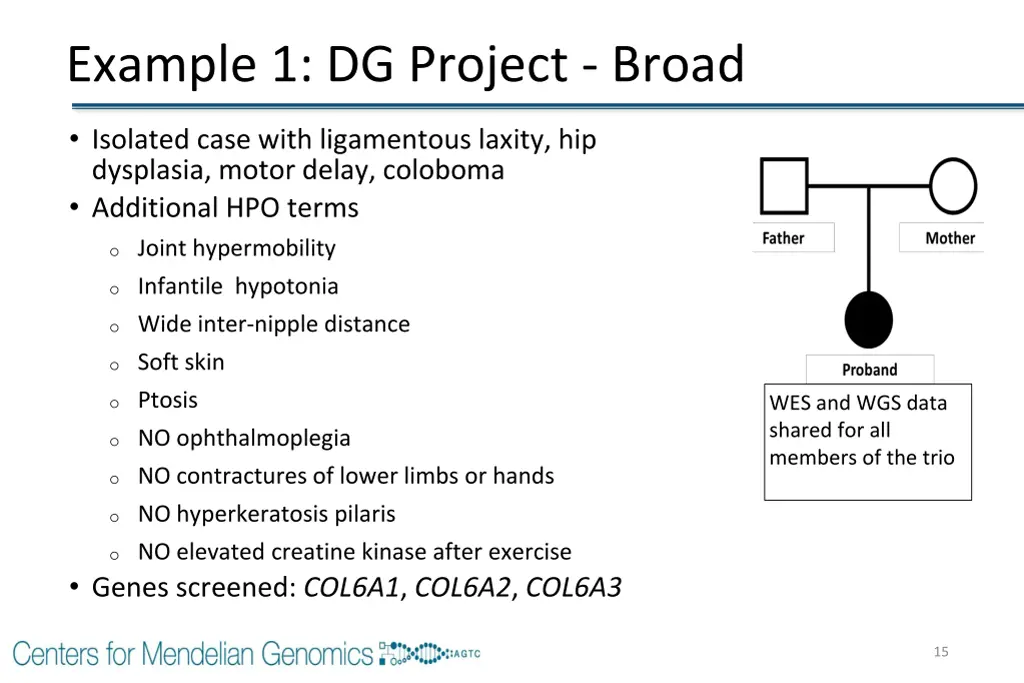 example 1 dg project broad