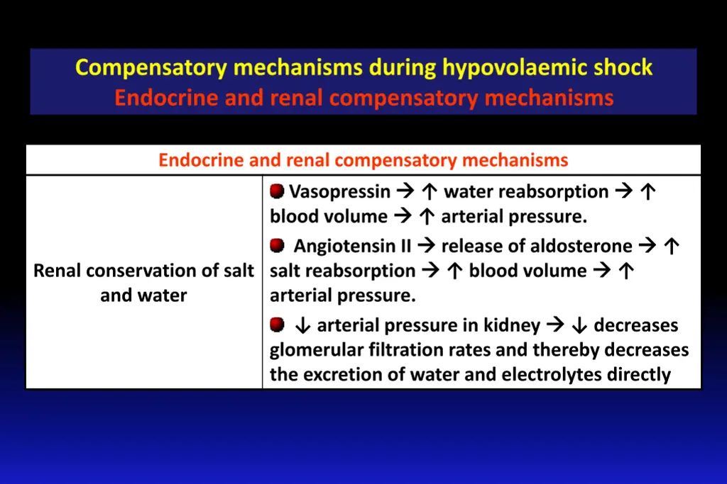 endocrine and renal compensatory mechanisms 2