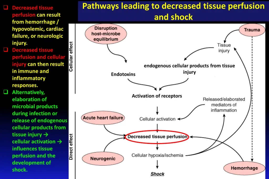 pathways leading to decreased tissue perfusion