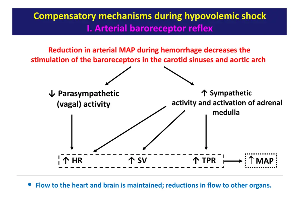 reduction in arterial map during hemorrhage