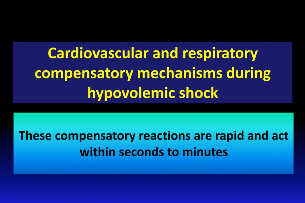 slide17