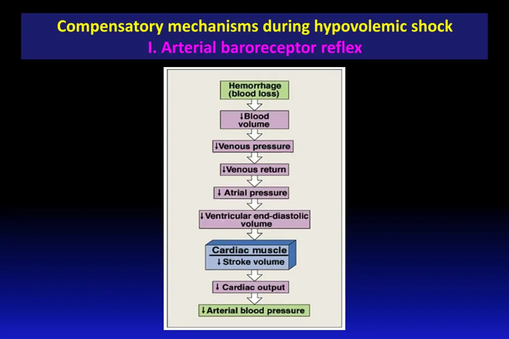 slide18