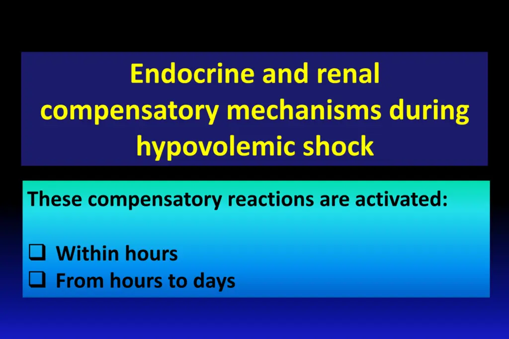 slide26